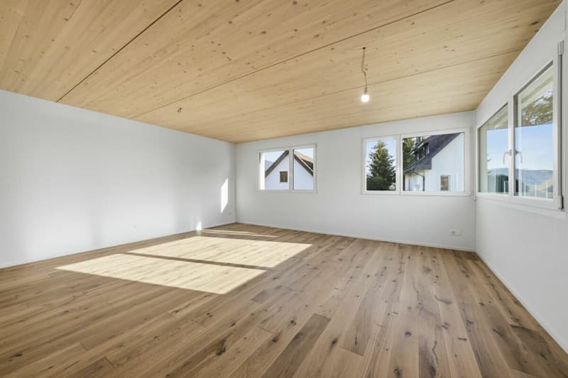 Modernes Doppel-Einfamilienhaus mit viel Platz, hochwertigem Ausbau und Garten in Stein am Rhein (25)