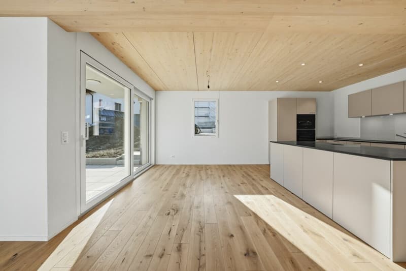 Modernes Doppel-Einfamilienhaus mit viel Platz, hochwertigem Ausbau und Garten in Stein am Rhein (28)