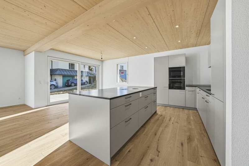 Modernes Doppel-Einfamilienhaus mit viel Platz, hochwertigem Ausbau und Garten in Stein am Rhein (26)