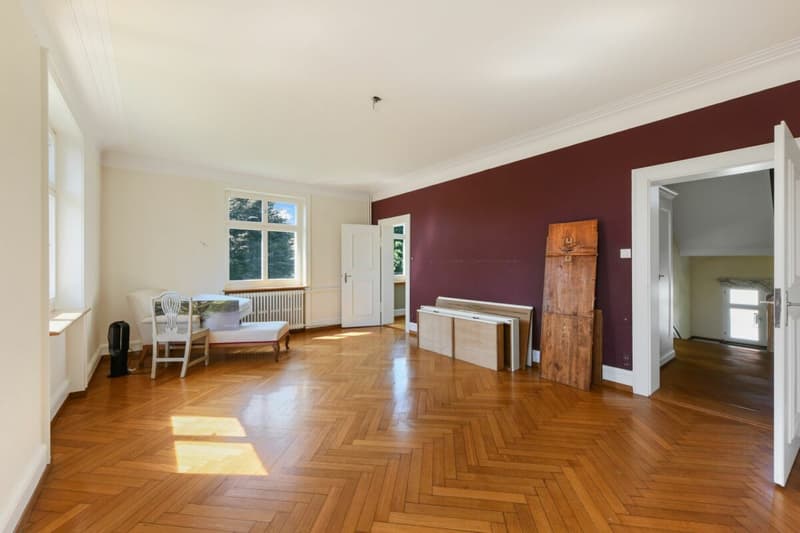 Historic Art Nouveau villa with charm, large garden and plenty of space for your living dreams (27)