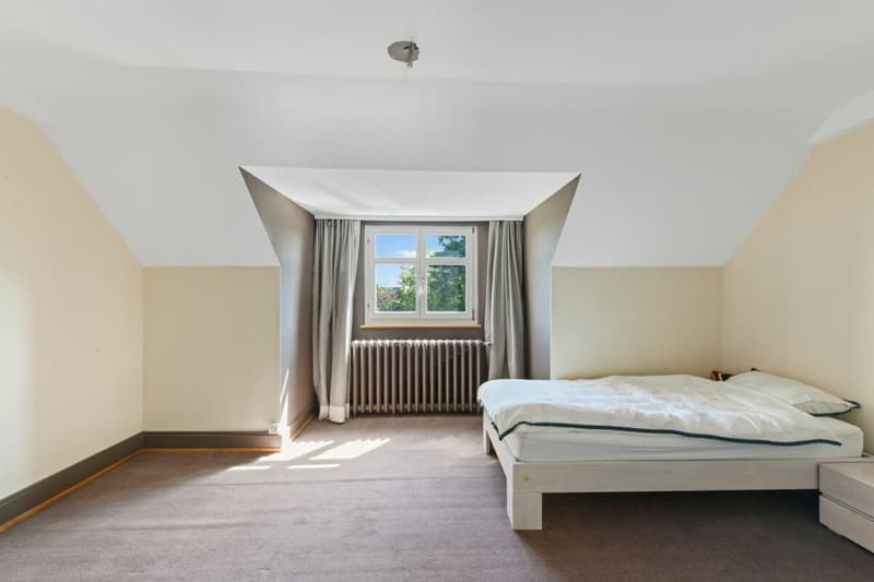 Historic Art Nouveau villa with charm, large garden and plenty of space for your living dreams (35)