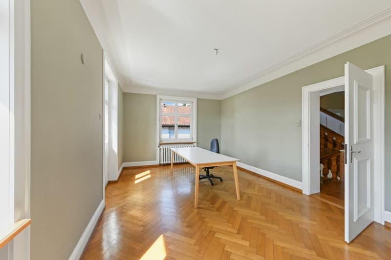 Historic Art Nouveau villa with charm, large garden and plenty of space for your living dreams (37)