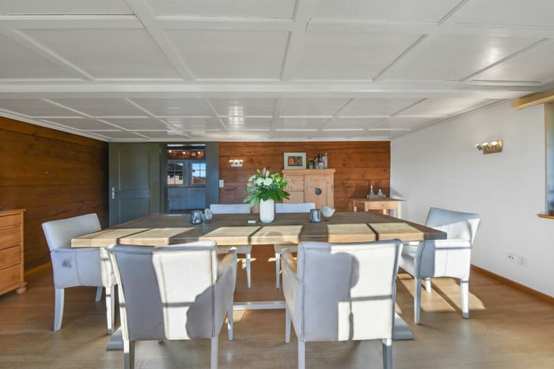 MAISON FAMILIALE DUPLEX 6.5 PIÈCES AVEC GRAND JARDIN ET ANNEXE (6)