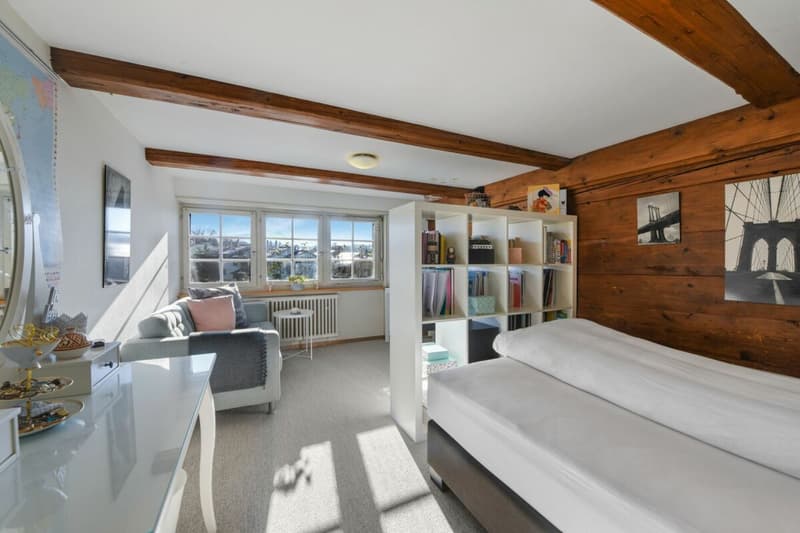 MAISON FAMILIALE DUPLEX 6.5 PIÈCES AVEC GRAND JARDIN ET ANNEXE (17)