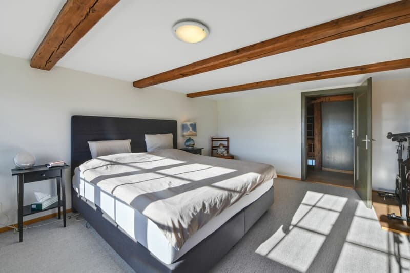 MAISON FAMILIALE DUPLEX 6.5 PIÈCES AVEC GRAND JARDIN ET ANNEXE (16)