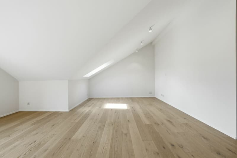 Charming core-renovated attic apartment with balcony and panoramic view in idyllic Urnäsch (16)