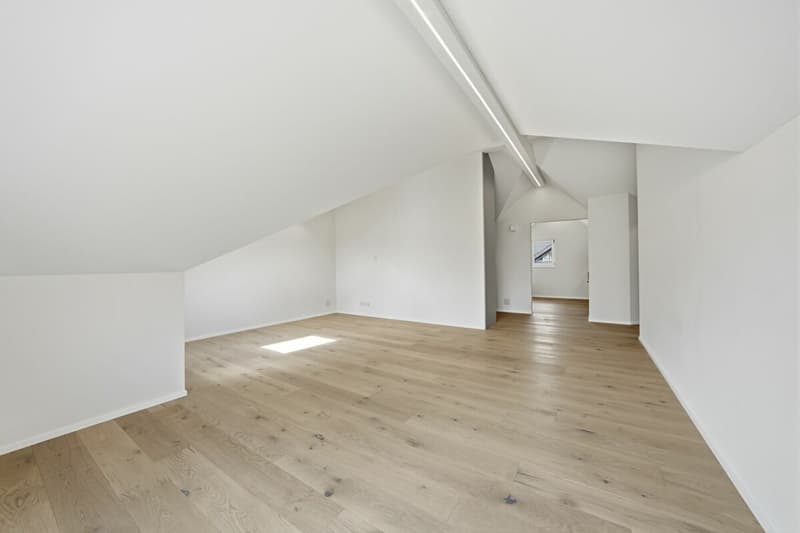 Charming core-renovated attic apartment with balcony and panoramic view in idyllic Urnäsch (15)