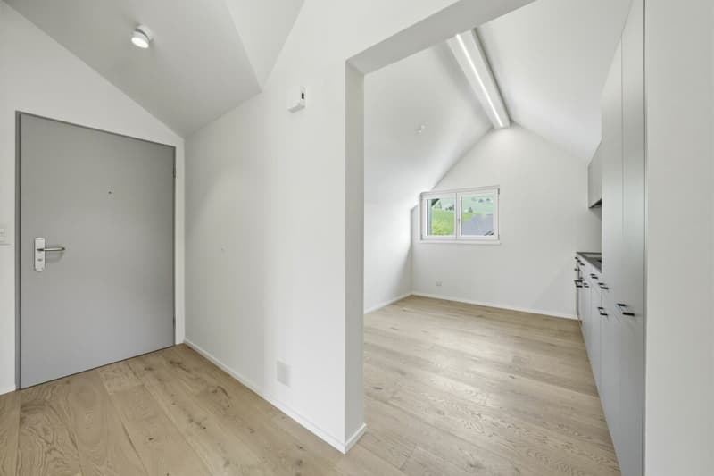 Charming core-renovated attic apartment with balcony and panoramic view in idyllic Urnäsch (8)