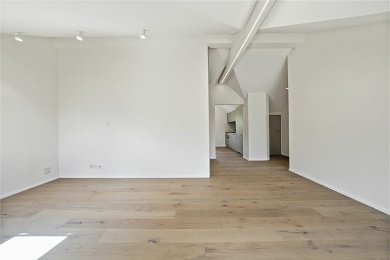 Charming core-renovated attic apartment with balcony and panoramic view in idyllic Urnäsch (13)