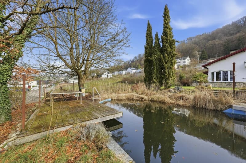 Propriété unique avec piscine naturelle, vignoble et oasis de spa dans un emplacement de rêve à Klingnau (48)