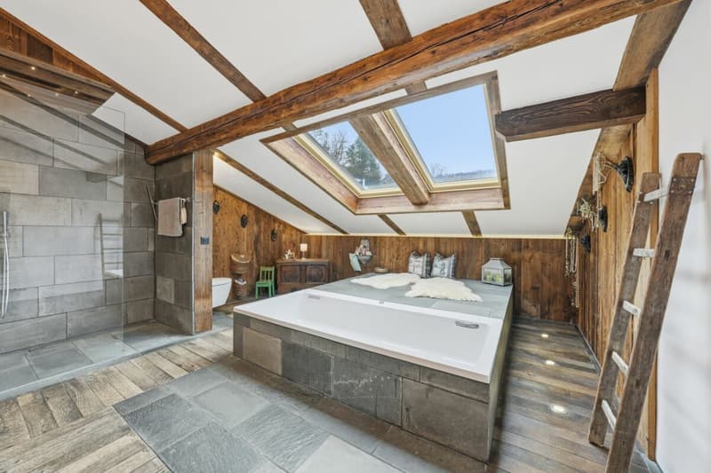 Propriété unique avec piscine naturelle, vignoble et oasis de spa dans un emplacement de rêve à Klingnau (25)