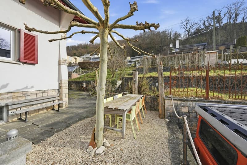 Propriété unique avec piscine naturelle, vignoble et oasis de spa dans un emplacement de rêve à Klingnau (53)