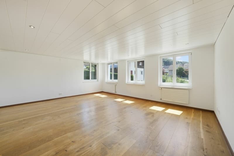 Charm meets comfort - your stylishly renovated home with pool in Bischofszell (16)