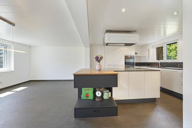 Charm meets comfort - your stylishly renovated home with pool in Bischofszell (11)