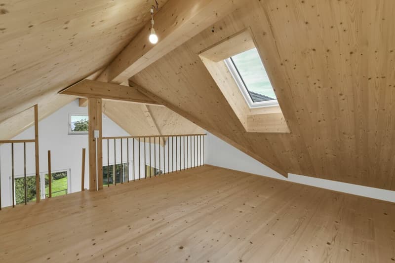 2.5-Zimmer hochwertige Dachwohnung, Erstbezug (2)
