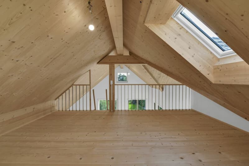 2.5-Zimmer hochwertige Dachwohnung, Erstbezug (3)