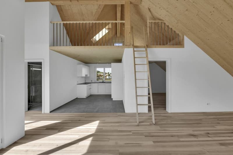 2.5-Zimmer hochwertige Dachwohnung, Erstbezug (7)