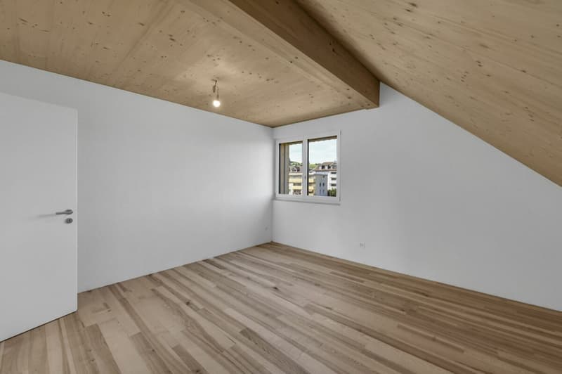 2.5-Zimmer hochwertige Dachwohnung, Erstbezug (9)