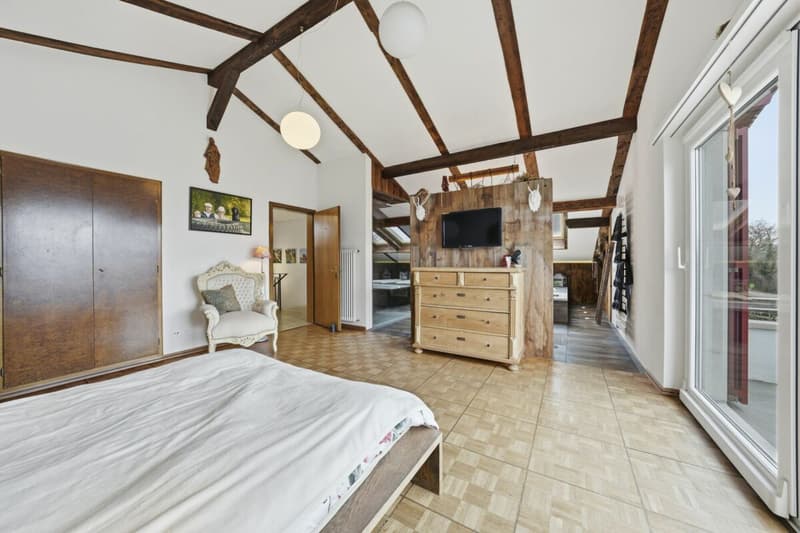 Einzigartiges Anwesen mit Naturpool, Weinberg und Spa-Oase in traumhafter Lage von Klingnau (22)