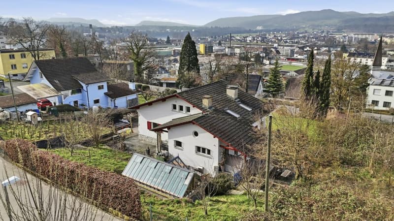 Einzigartiges Anwesen mit Naturpool, Weinberg und Spa-Oase in traumhafter Lage von Klingnau (51)
