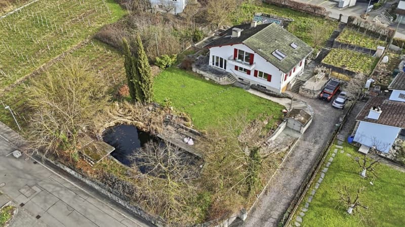 Einzigartiges Anwesen mit Naturpool, Weinberg und Spa-Oase in traumhafter Lage von Klingnau (55)