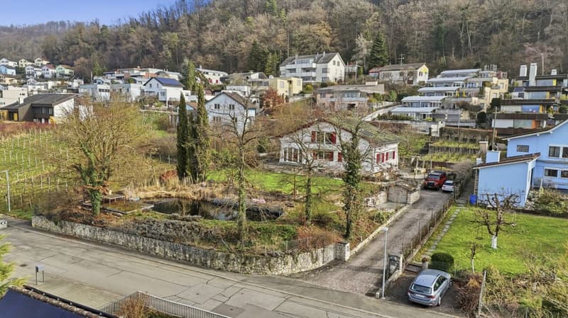 Einzigartiges Anwesen mit Naturpool, Weinberg und Spa-Oase in traumhafter Lage von Klingnau (54)