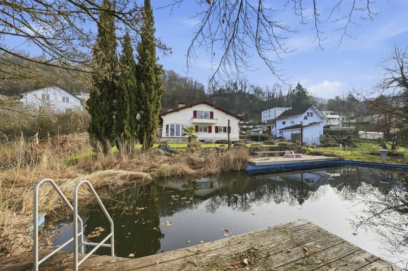 Einzigartiges Anwesen mit Naturpool, Weinberg und Spa-Oase in traumhafter Lage von Klingnau (47)