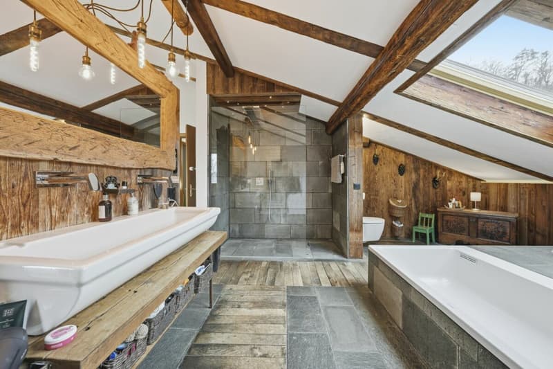 Einzigartiges Anwesen mit Naturpool, Weinberg und Spa-Oase in traumhafter Lage von Klingnau (24)