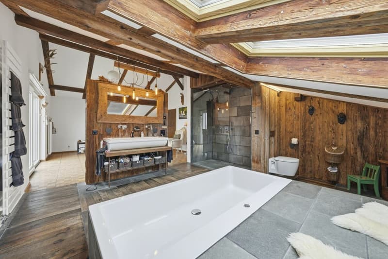 Einzigartiges Anwesen mit Naturpool, Weinberg und Spa-Oase in traumhafter Lage von Klingnau (23)