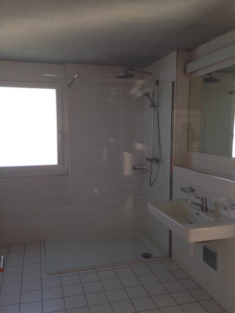 Spacious bathroom with a large shower area, a sink with vanity, and tiled flooring. The bathroom appears to have a private washing machine installed.