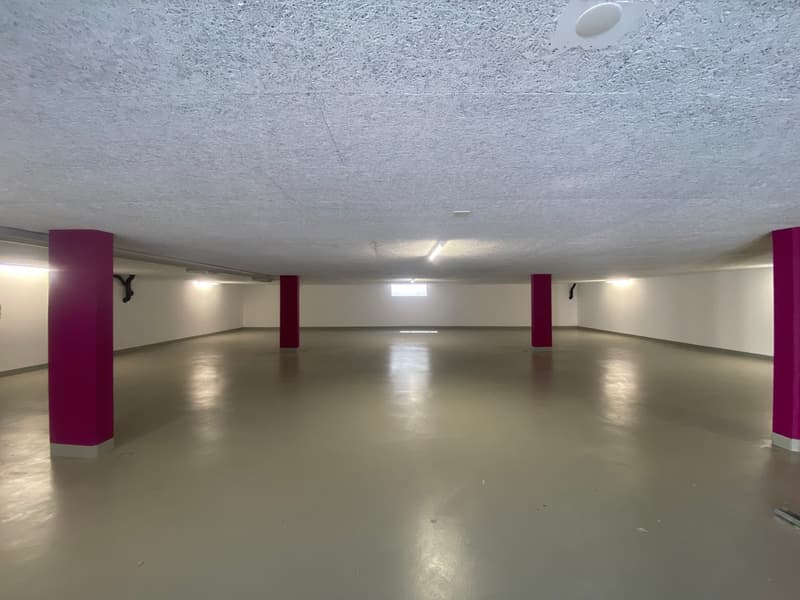 Large open space with concrete floor, white walls, and red columns. The room appears to be a basement or garage area with overhead lighting.