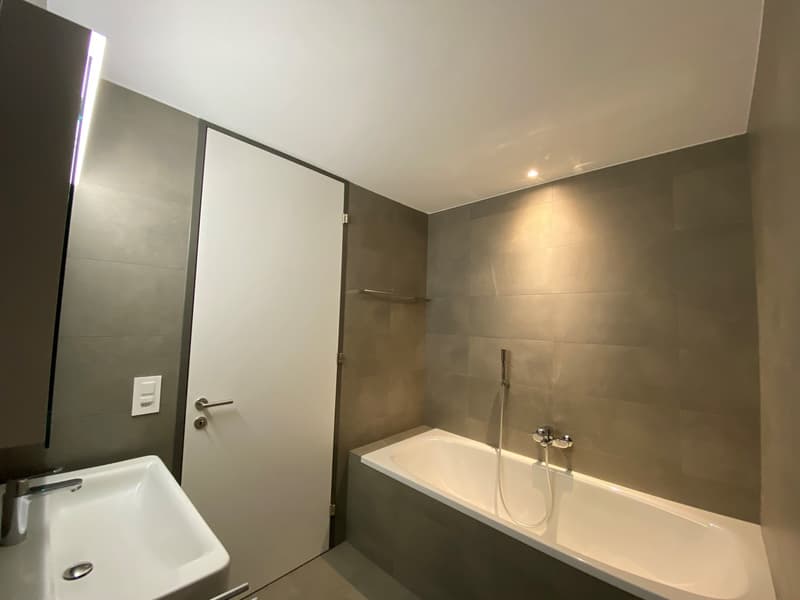 Appartamento mansardato 3,5 locali (11)