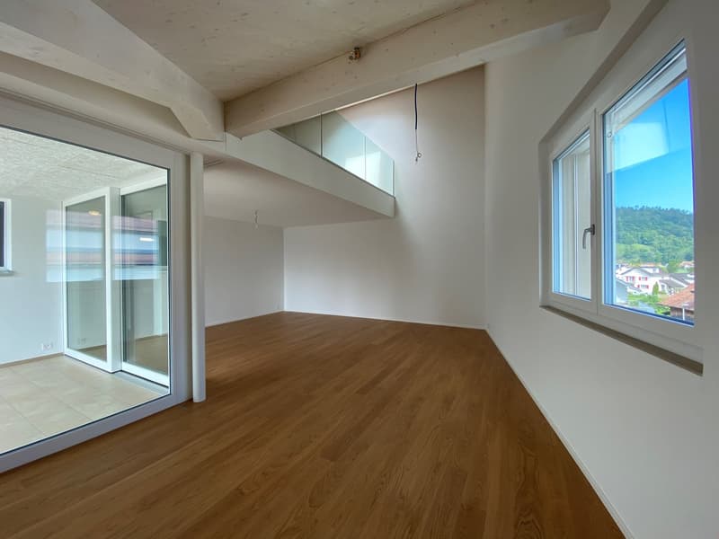 Appartamento mansardato 3,5 locali (3)