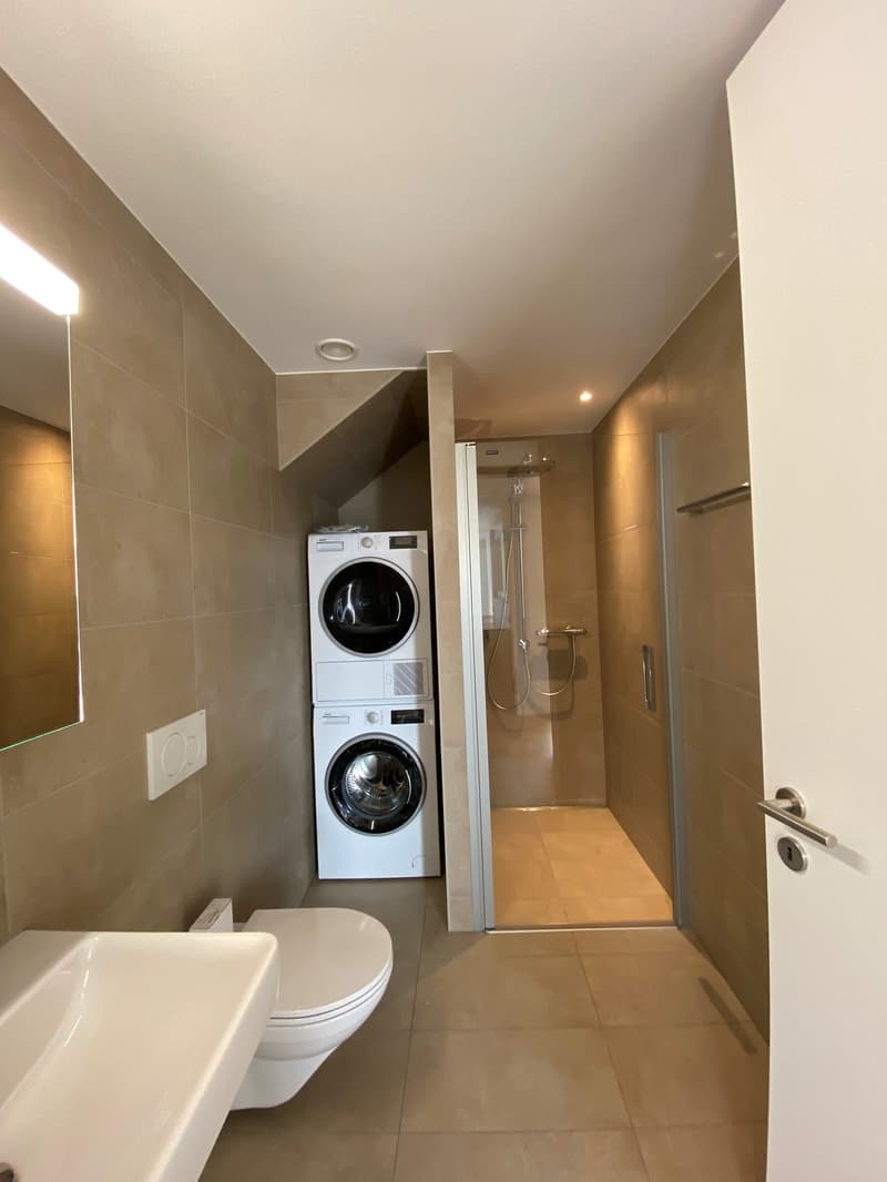 Appartamento mansardato 3,5 locali (4)