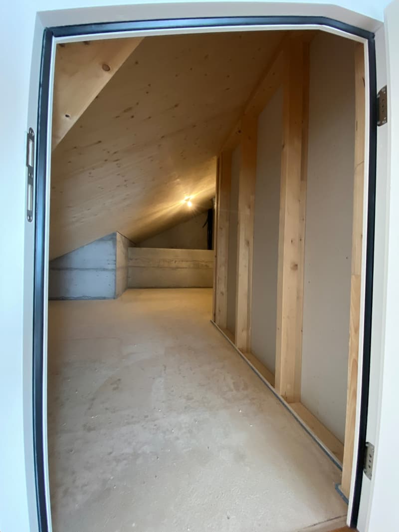 Appartamento mansardato 3,5 locali (7)