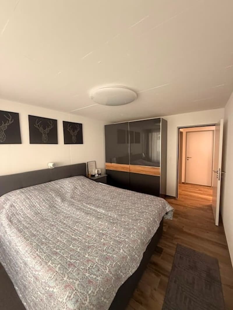 Moderne 2.5-Zimmer-Wohnung im Erdgeschoss in Oberriet (3)