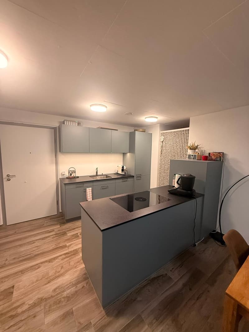 Moderne 2.5-Zimmer-Wohnung im Erdgeschoss in Oberriet (2)