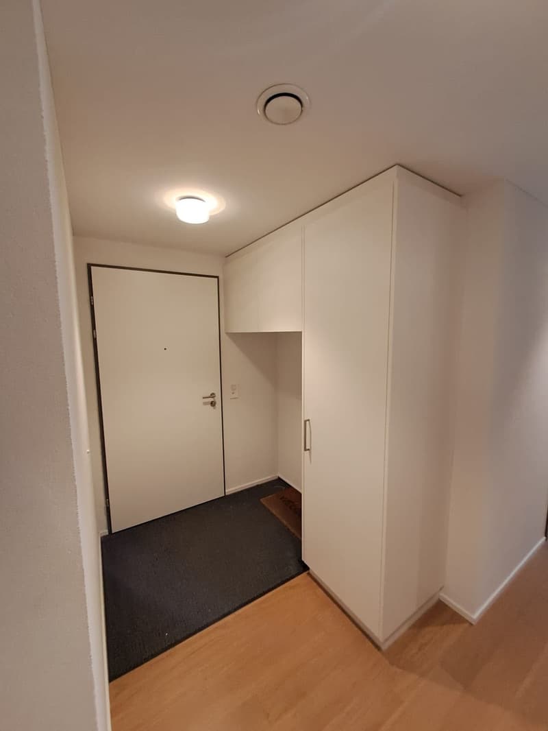 Moderne 3.5 Zimmer Wohnung (3)