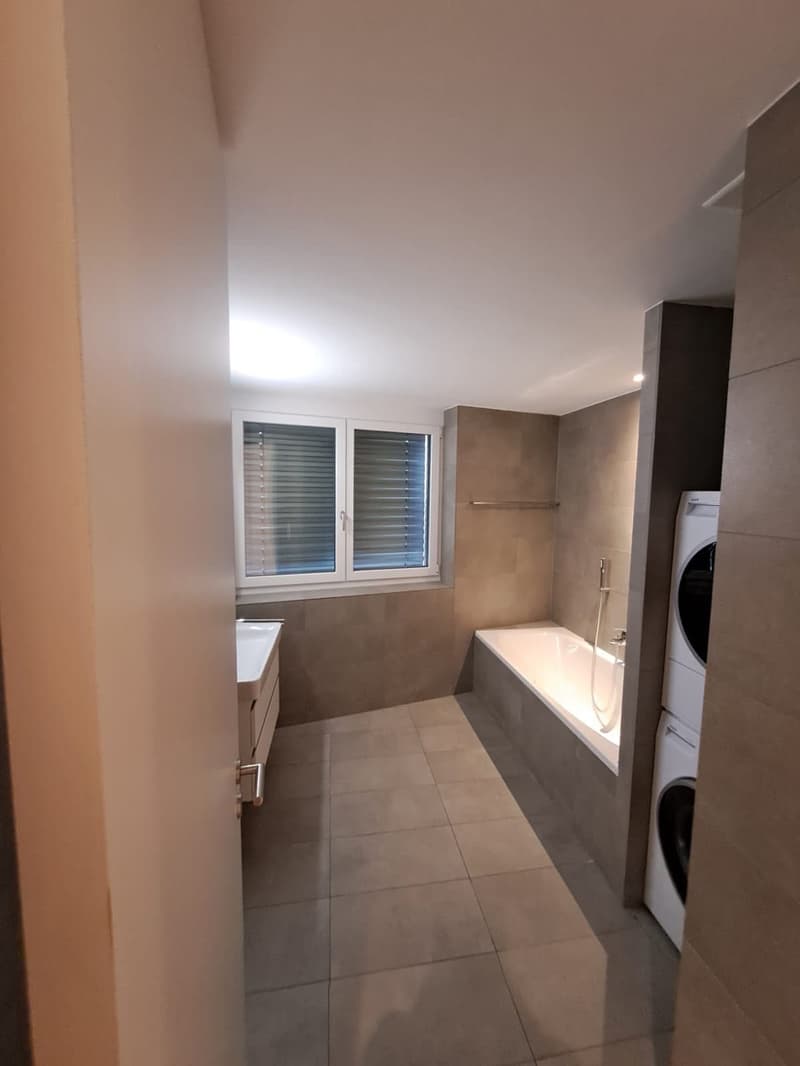 Moderne 3.5 Zimmer Wohnung (4)