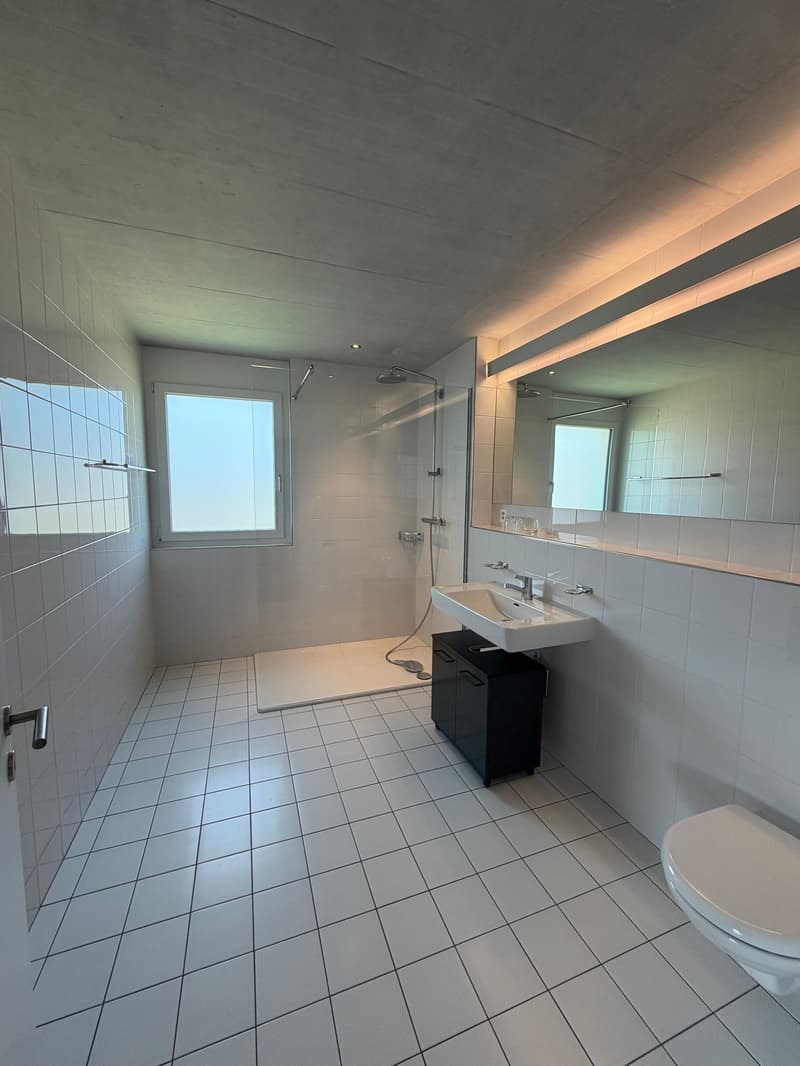 3.5 Zimmerwohnung 1. OG (5)