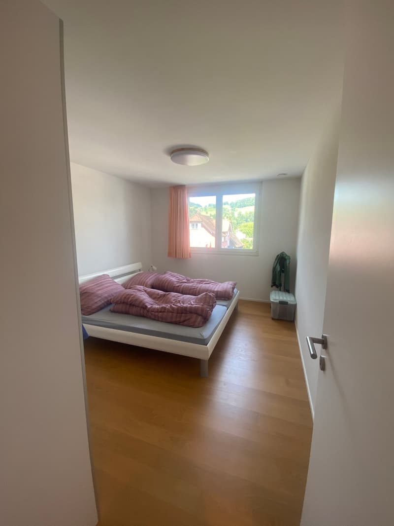 Moderne 4.5-Zimmer-Wohnung mit Balkon in Oberriet SG (9)