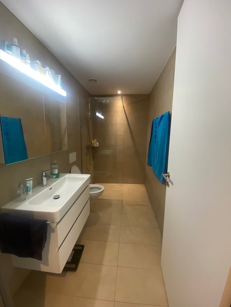 Moderne 4.5-Zimmer-Wohnung mit Balkon in Oberriet SG (6)