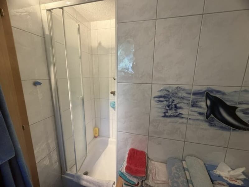 Maison jumelle 4.5 pièces (12)