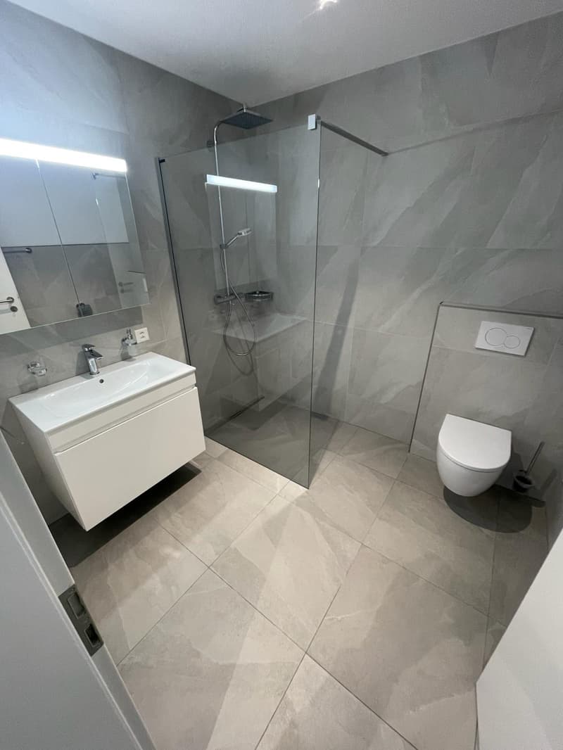 Modern bathroom, shower cubicle, glass door, white sink with white vanity, silver faucet, white toilet, wall-mounted light, grey tiled floor, mirror, modern decor