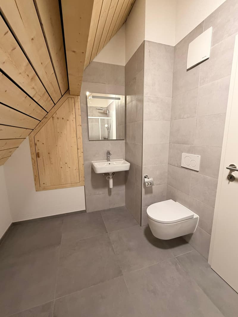 A bathroom with a sink, mirror, toilet, and wooden ceiling