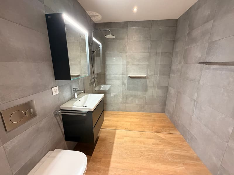 4,5 locali in duplex – Finiture di alta gamma in una PPE intima (7)