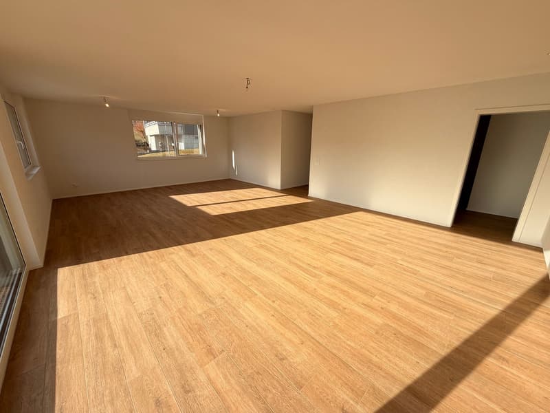 4,5 locali in duplex – Finiture di alta gamma in una PPE intima (5)