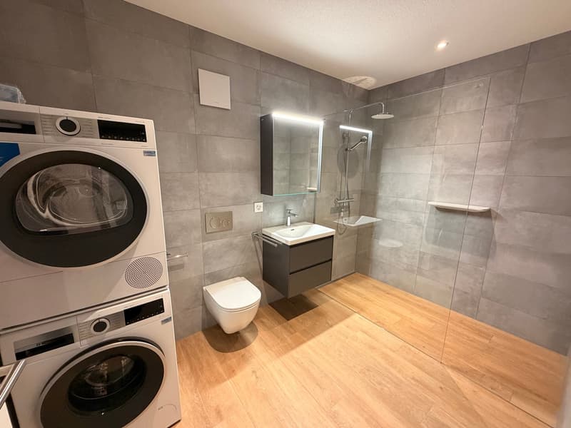 4,5 locali in duplex – Finiture di alta gamma in una PPE intima (3)
