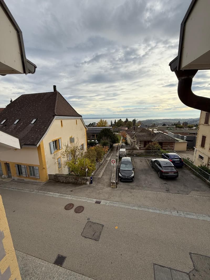 Apartment with 3.5 rooms and lake view (2)