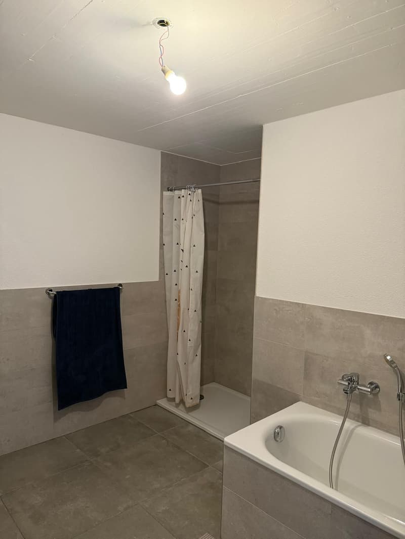 Apartment with 3.5 rooms and lake view (7)